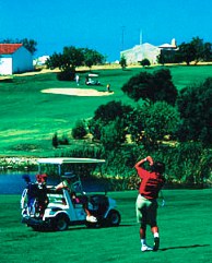 alto_golf1.jpg